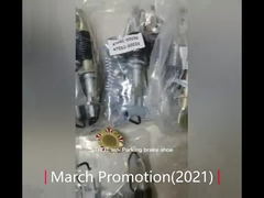 স্ট্রুটস ব্রেক জুতো.mp4